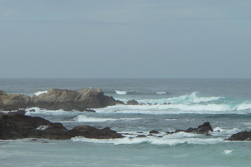 Carmel 10-30-08 246.jpg